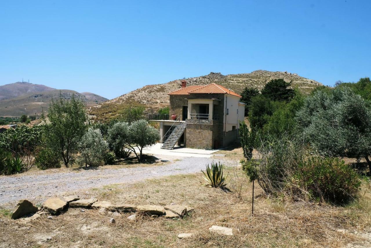 Stone House Of Panos Villa Kornos Exteriör bild